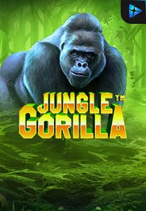 Bocoran RTP Slot Jungle-Gorilla di SIHOKI